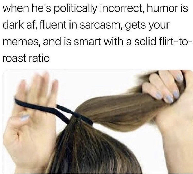he's politically incorrect meme - when he's politically incorrect, humor is dark af, fluent in sarcasm, gets your memes, and is smart with a solid flirtto roast ratio