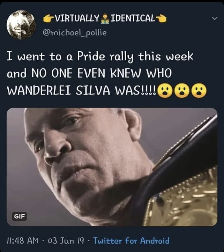 Virtually Identical I went to a Pride rally this week and No One Even Knew Who Wanderlei Silva Was!!!!