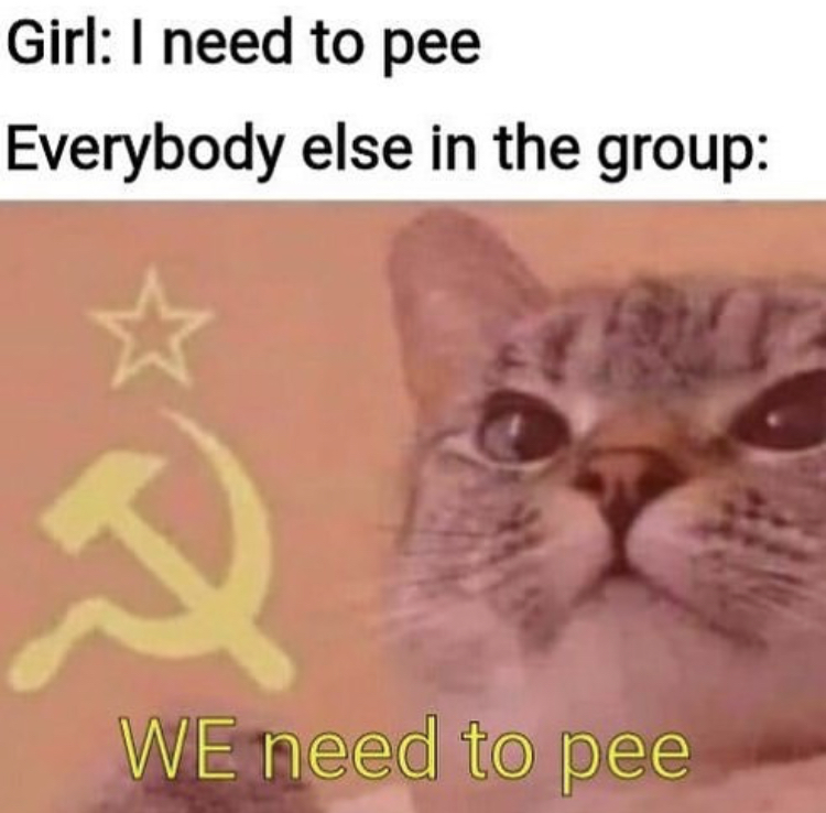 communist cat meme - Girl I need to pee Everybody else in the group e We need to pee