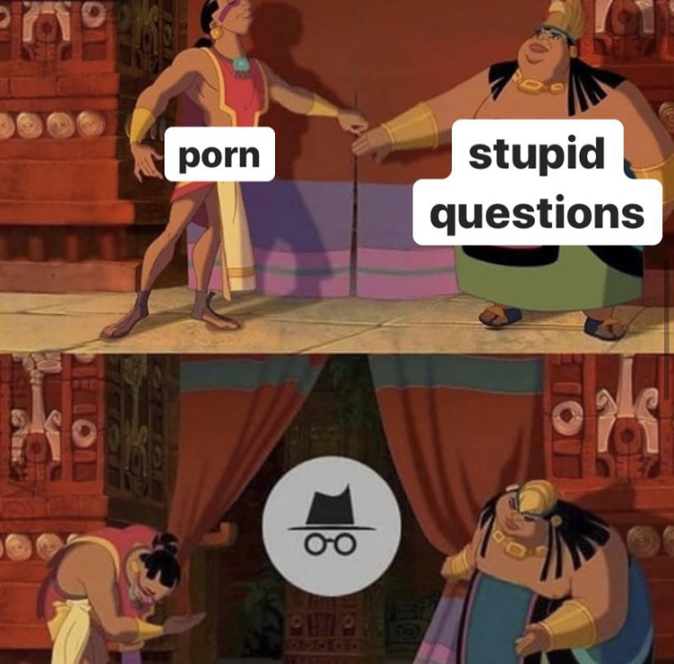 Internet meme - porn stupid questions 00