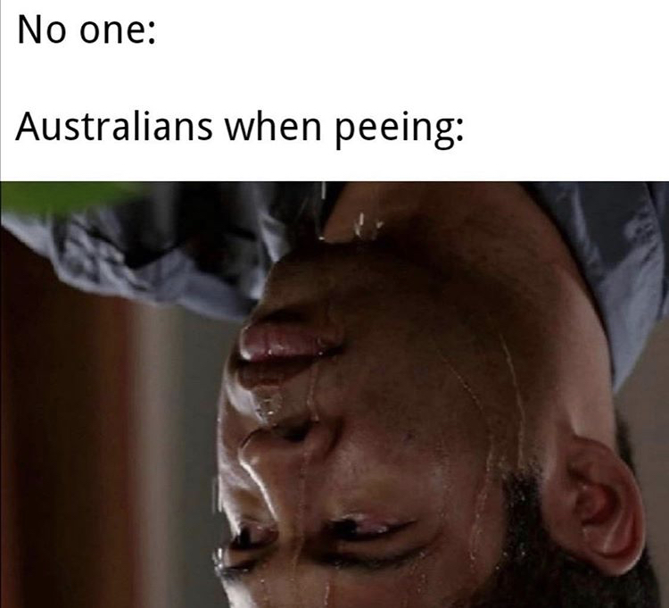 bats peeing meme - No one Australians when peeing