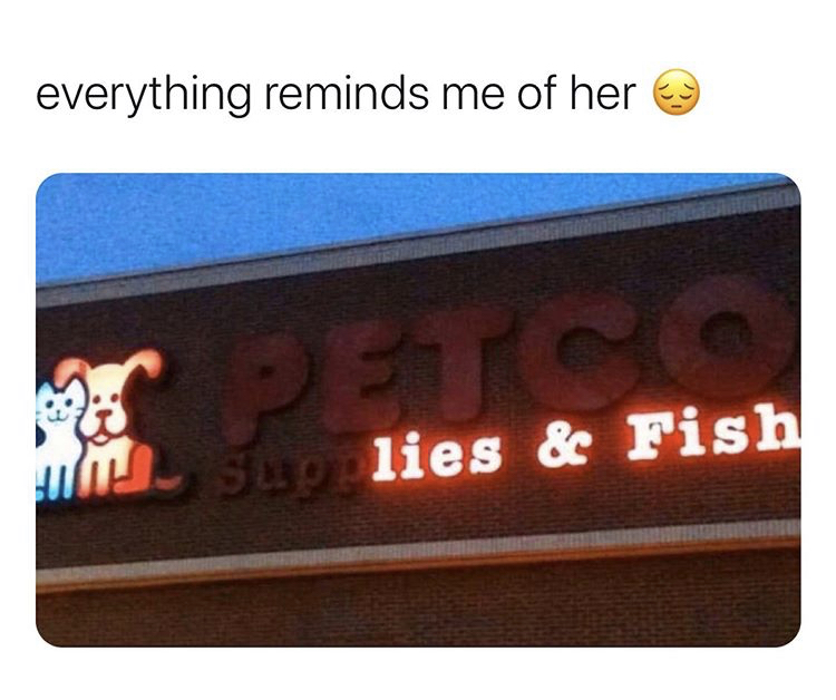 signage - everything reminds me of her Petsas me su lies & Fish