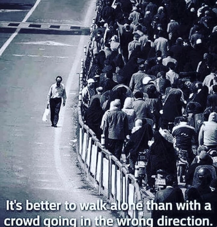 it's better to walk alone - It's better to walk alone than with a crowd going in the wrong direction.