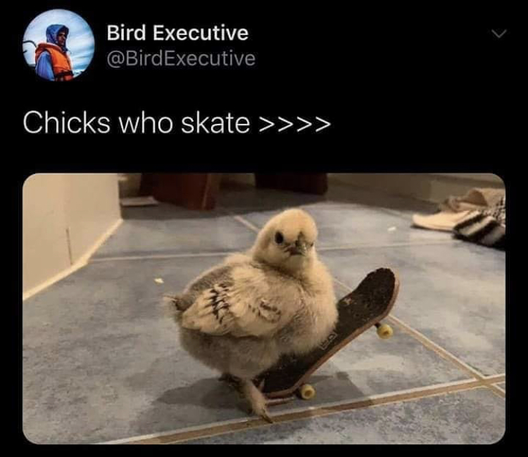 he was a skater duck - Bird Executive Chicks who skate >>>>