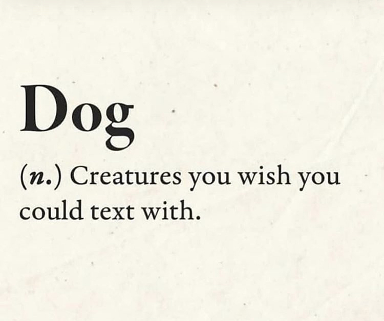 paper - Dog n. Creatures you wish you could text with.