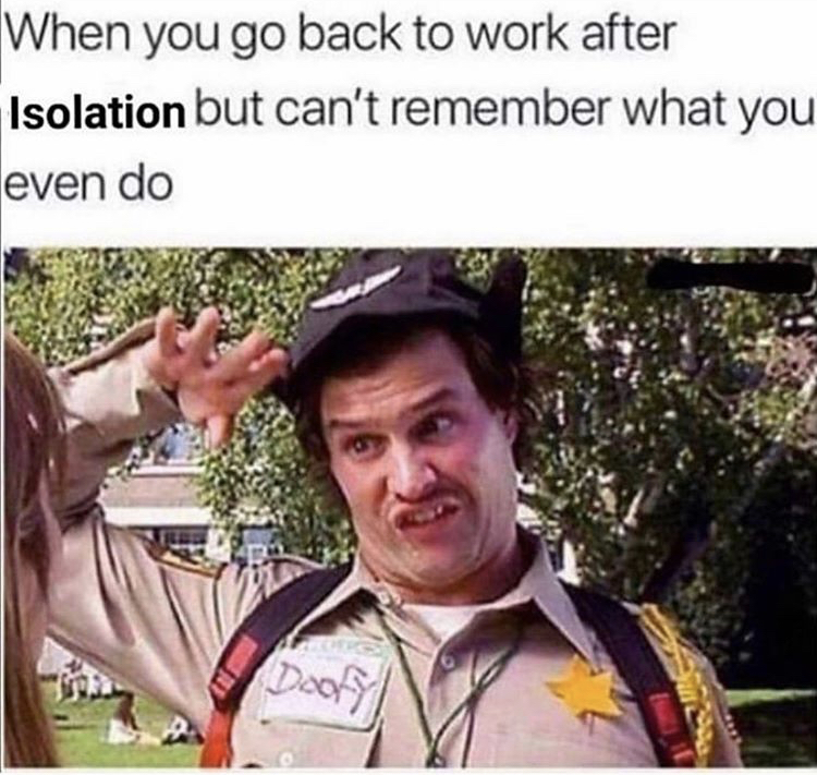 funny work memes - When you go back to work after Isolation but can't remember what you even do Dooff!