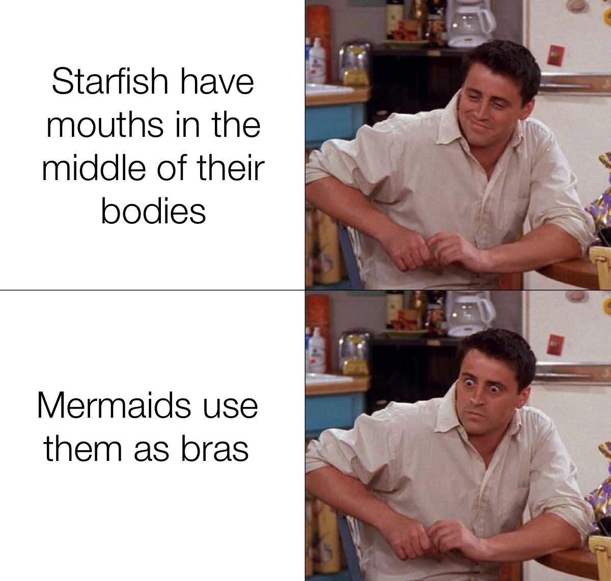 joey shocked meme - Starfish have mouths in the middle of their bodies Mermaids use them as bras