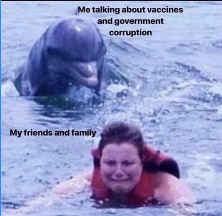 dolphin chasing woman - Me talking about vaccines and government corruption My friends and family