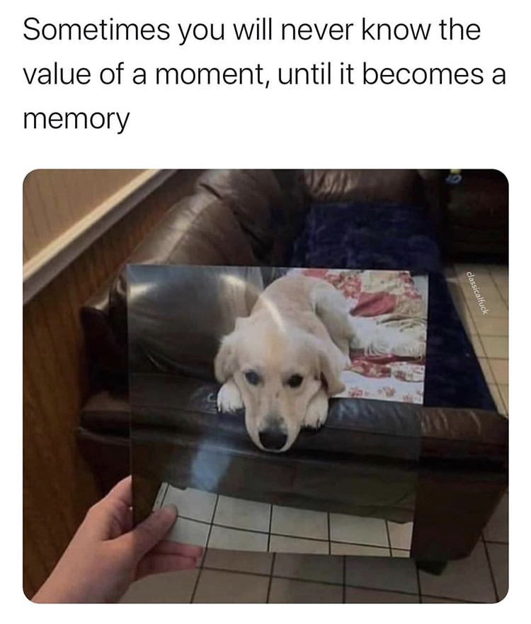 sometimes you will never know the value - Sometimes you will never know the value of a moment, until it becomes a memory classicalfuck