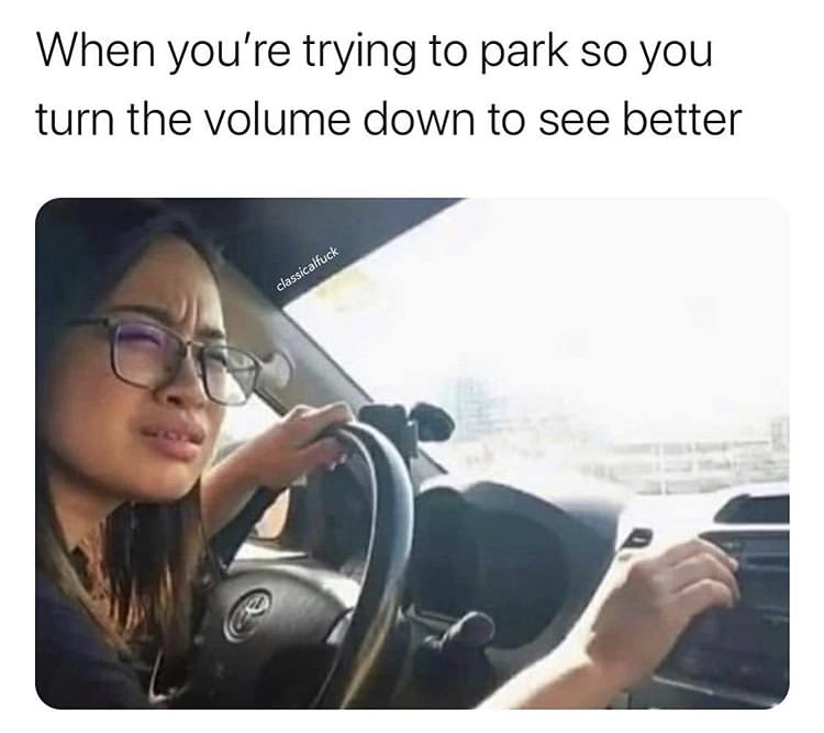 you can t find a parking spot do you turn down the volume to see better - When you're trying to park so you turn the volume down to see better classicalfuck