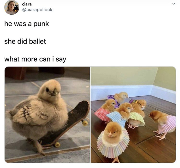 chicks in cupcake wrappers - > ciara he was a punk she did ballet what more can i say