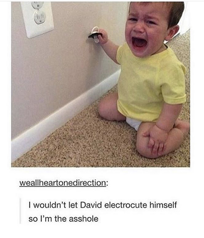 dumb kids - weallheartonedirection I wouldn't let David electrocute himself so I'm the asshole