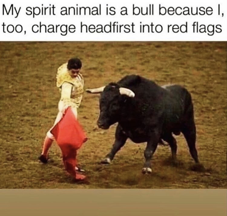my spirit animal is a bull meme - My spirit animal is a bull because I, too, charge headfirst into red flags