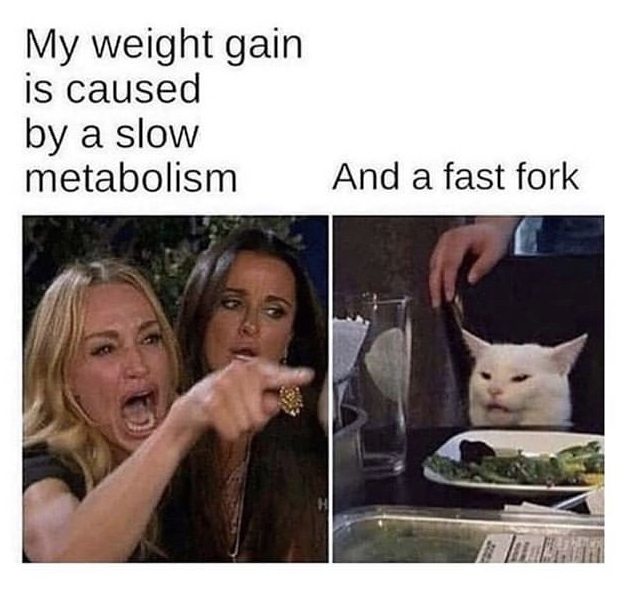 woman yelling at cat video games - My weight gain is caused by a slow metabolism And a fast fork