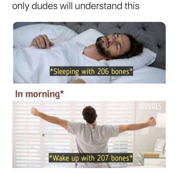 memes only legends will understand - only dudes will understand this Sleeping with 206 bones In morning Wake up with 207 bones