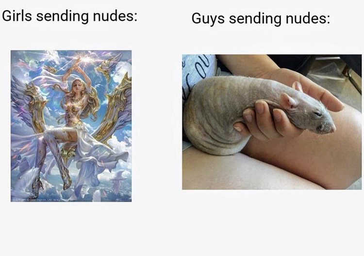 rat dick - Girls sending nudes Guys sending nudes