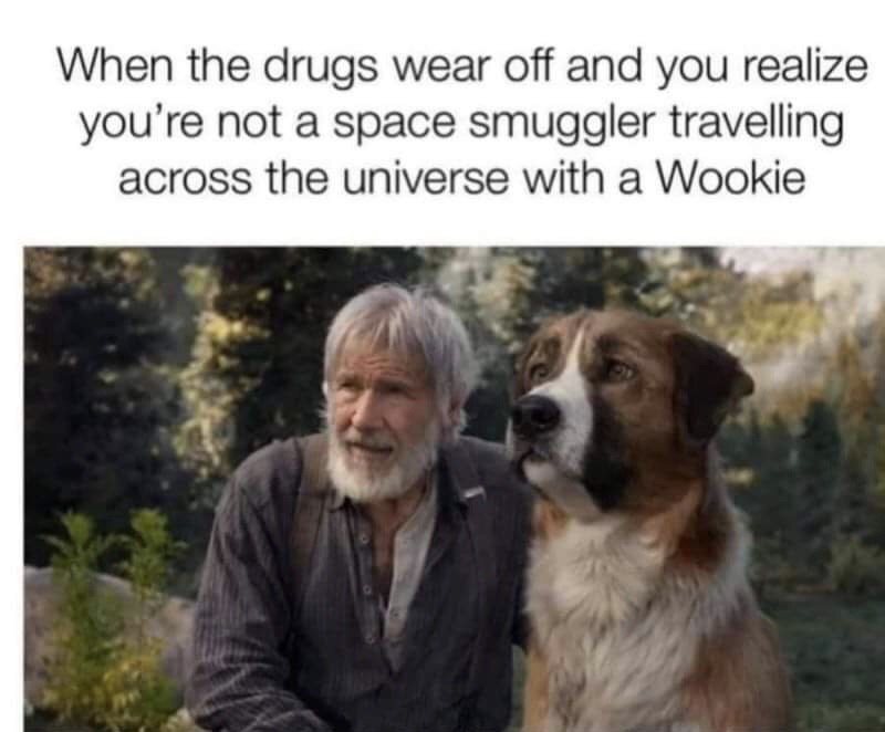 drugs wear off and you realize you re not a space smuggler - When the drugs wear off and you realize you're not a space smuggler travelling across the universe with a Wookie