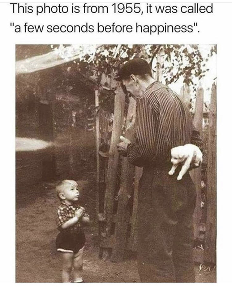 moments before happiness - This photo is from 1955, it was called "a few seconds before happiness".