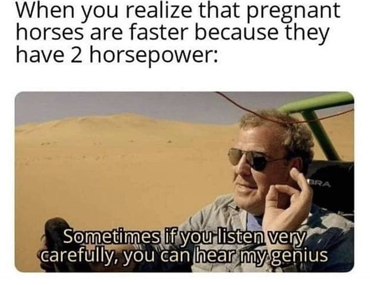 pregnant horse meme - When you realize that pregnant horses are faster because they have 2 horsepower Bra Sometimes if you listen very carefully, you can hear my genius