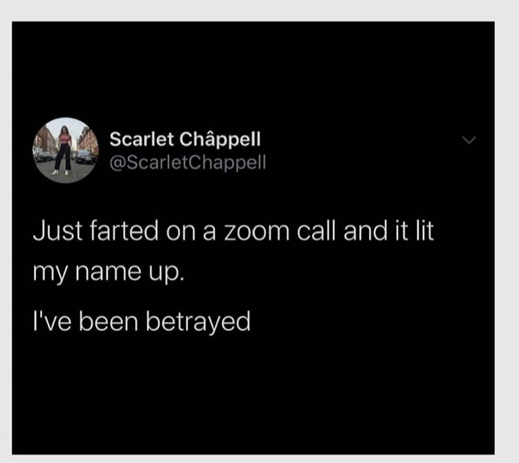 multimedia - Scarlet Chppell Just farted on a zoom call and it lit my name up. I've been betrayed