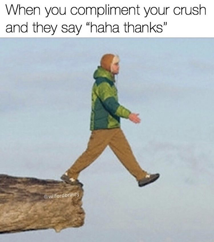 walk off cliff meme - When you compliment your crush and they say "haha thanks"
