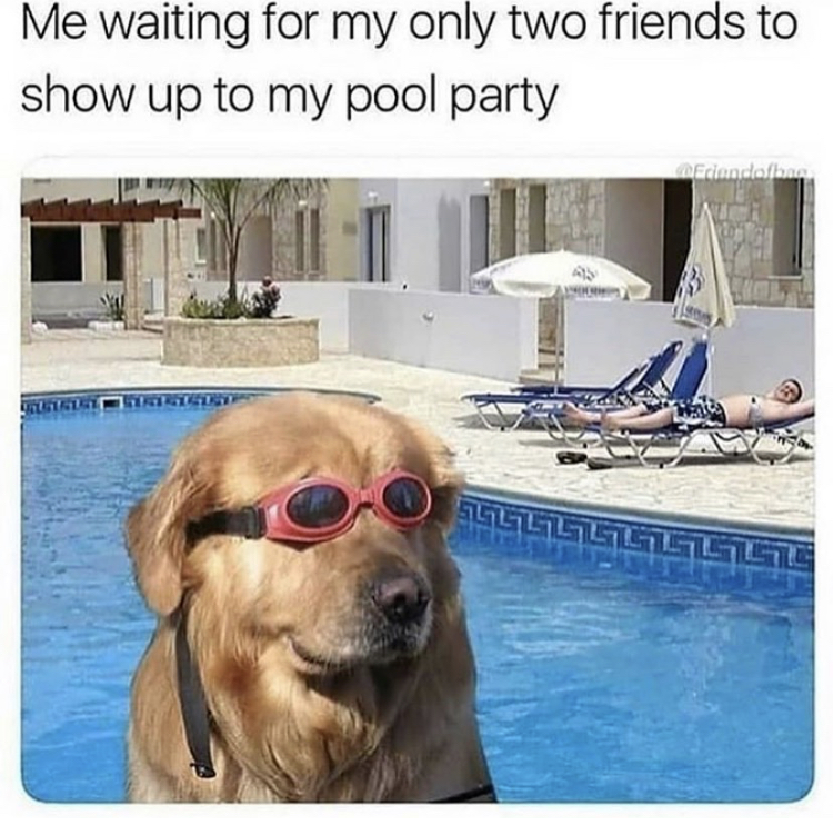 Me waiting for my only two friends to show up to my pool party