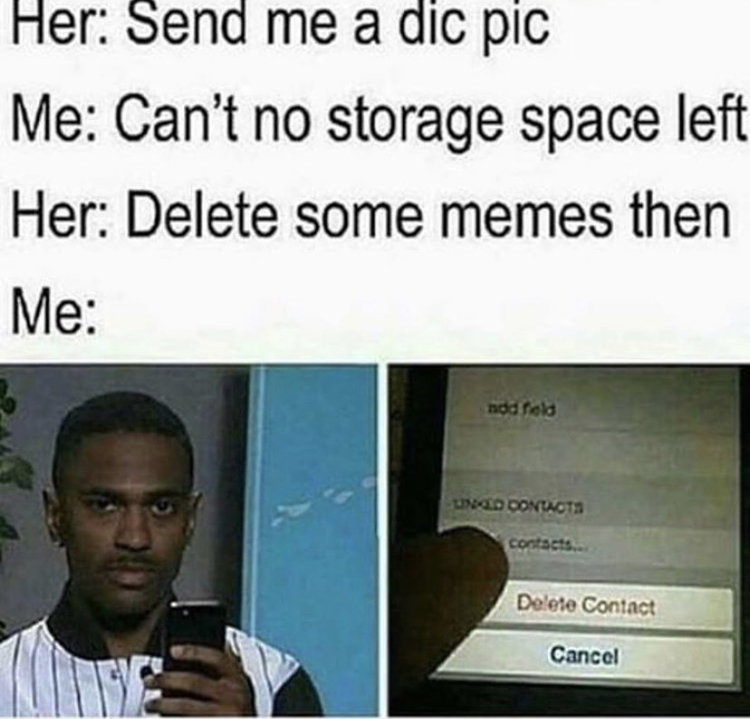 Her Send me a dic pic Me Can't no storage space left Her Delete some memes then Me Delete Contact