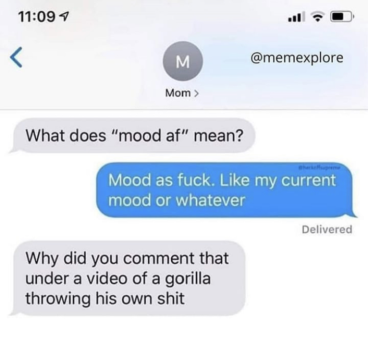 What does mood af mean? mood as fuck. like my current mood or whatever. why did you comment that under a video of a gorilla throwing his own shit?