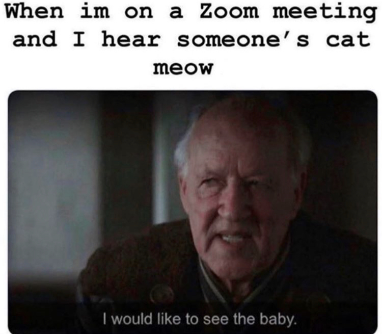 When im on a Zoom meeting and I hear someone's cat meow I would like to see the baby.