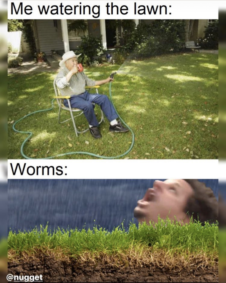 Me watering the lawn Worms