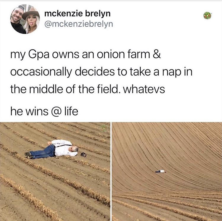 my Gpa owns an onion farm & occasionally decides to take a nap in the middle of the field. whatevs he wins @ life