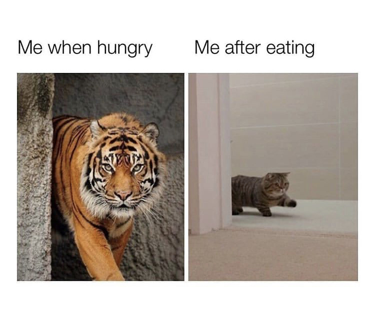 Me when hungry Me after eating
