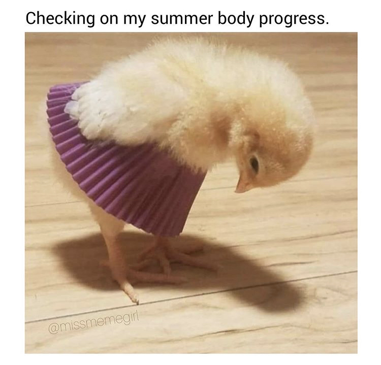 beak - Checking on my summer body progress.