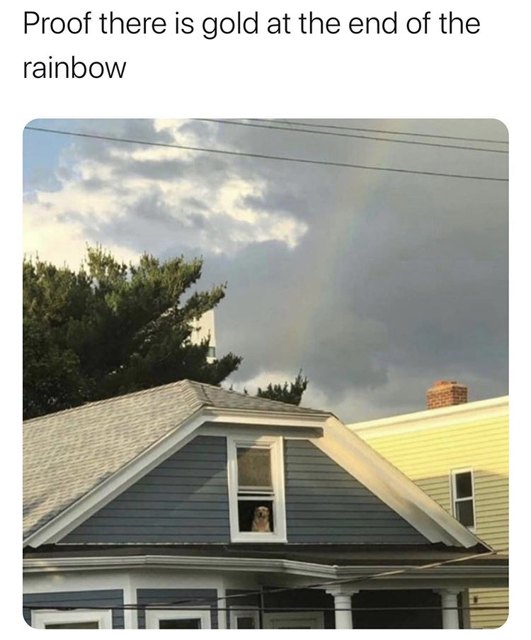 roof - Proof there is gold at the end of the rainbow