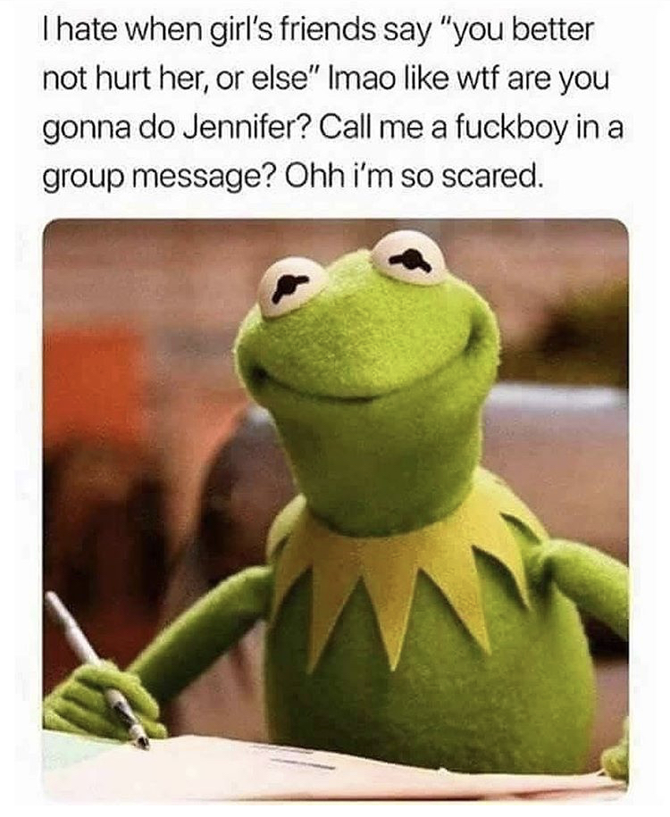 frog meme kermit - I hate when girl's friends say "you better not hurt her, or else" Imao wtf are you gonna do Jennifer? Call me a fuckboy in a group message? Ohh i'm so scared.