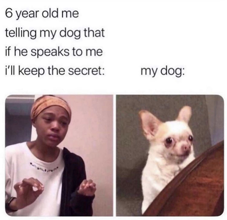 me telling my dog meme - 6 year old me telling my dog that if he speaks to me i'll keep the secret my dog