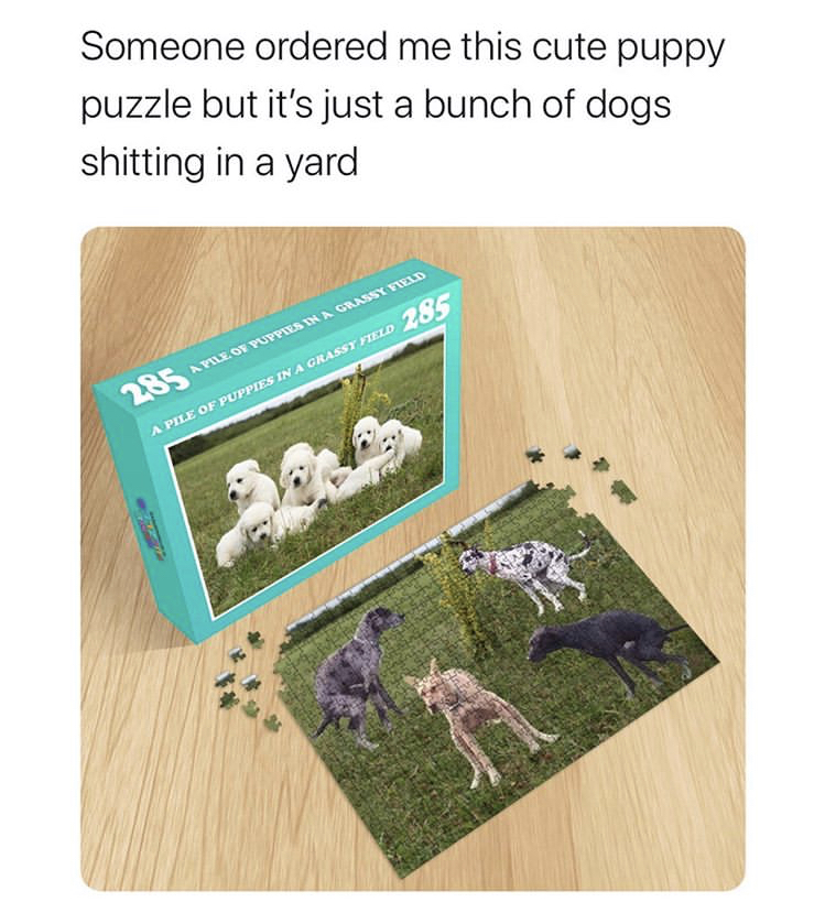 grass - Someone ordered me this cute puppy puzzle but it's just a bunch of dogs shitting in a yard 285 285 Aux Paysa Grande Pule A Pelos Puppies In A Castelo