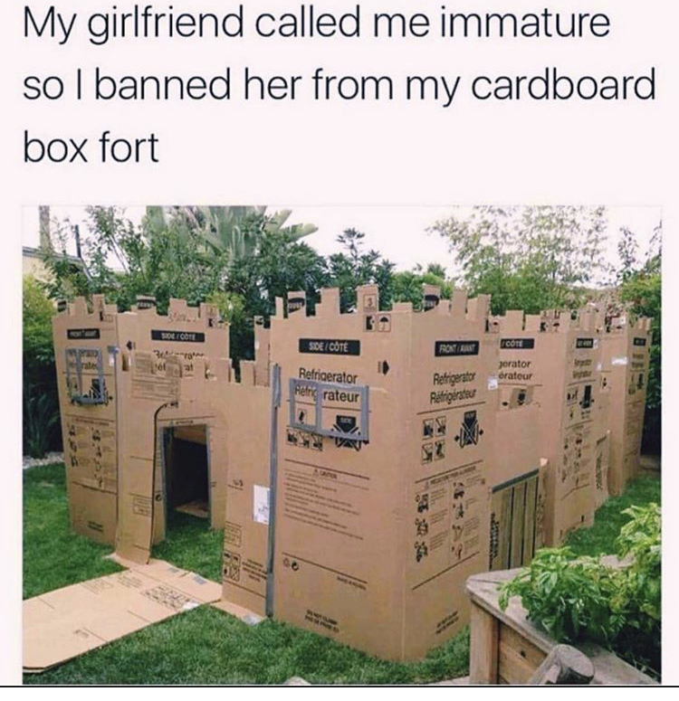 cardboard box fort meme - My girlfriend called me immature sol banned her from my cardboard box fort rador dra Refrigerator erateur