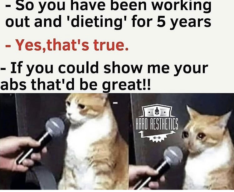cat interview crying meme - So you have been working out and 'dieting' for 5 years Yes, that's true. If you could show me your abs that'd be great!! Haad Aesthetics