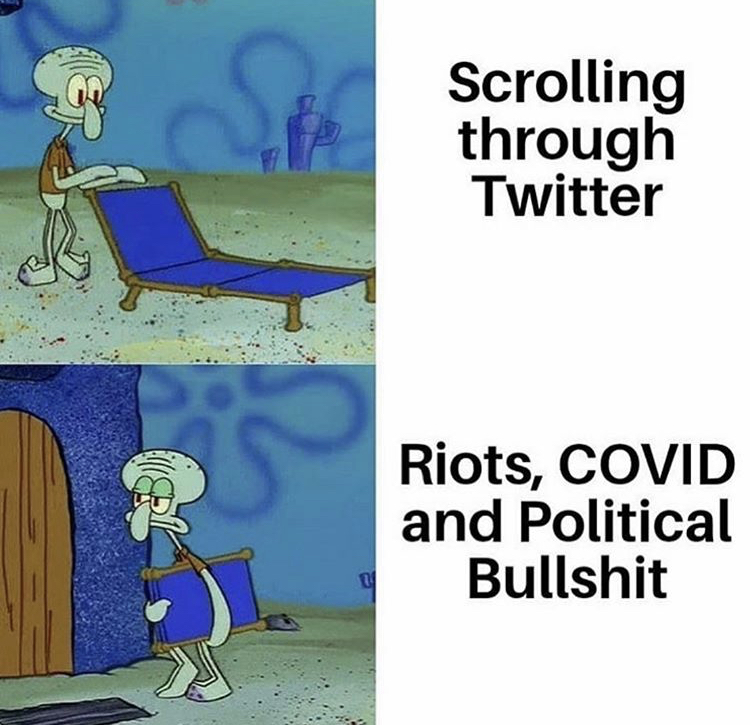 triumphantly meme - Sin Scrolling through Twitter Riots, Covid and Political Bullshit