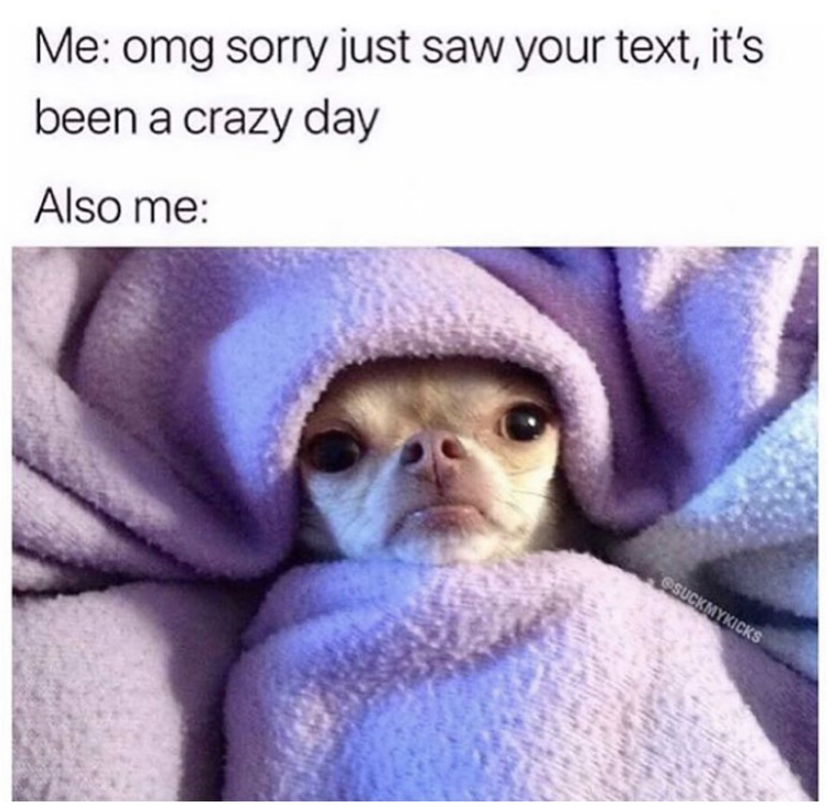 Me omg sorry just saw your text, it's been a crazy day Also me Gosuckmykicks