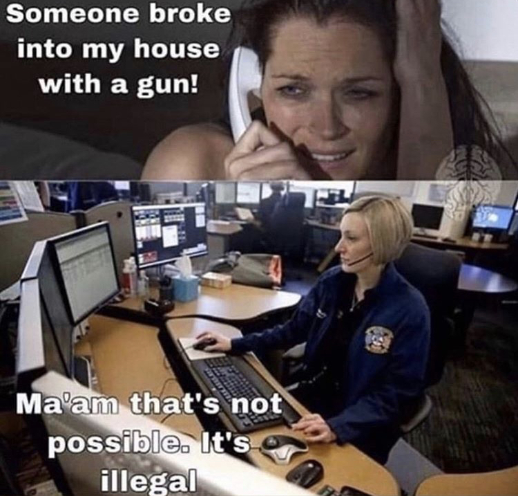 computer professional - Someone broke into my house with a gun! Ma'am that's not possible. It's illegal