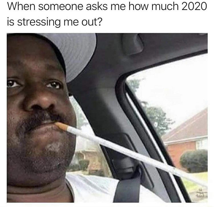 extendo newport - When someone asks me how much 2020 is stressing me out?