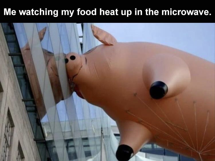 pink floyd pig balloon - Me watching my food heat up in the microwave.