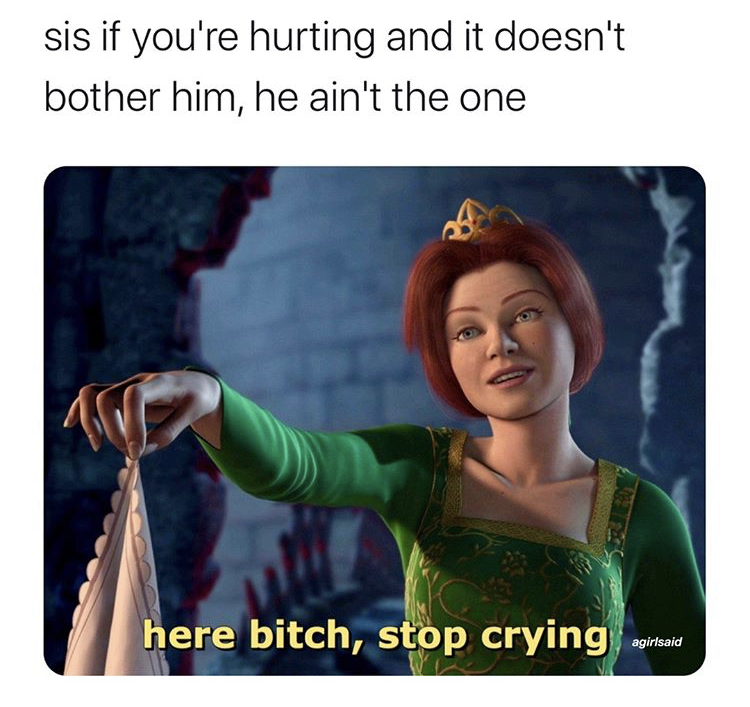 fiona shrek humano - sis if you're hurting and it doesn't bother him, he ain't the one here bitch, stop crying agirlsaid