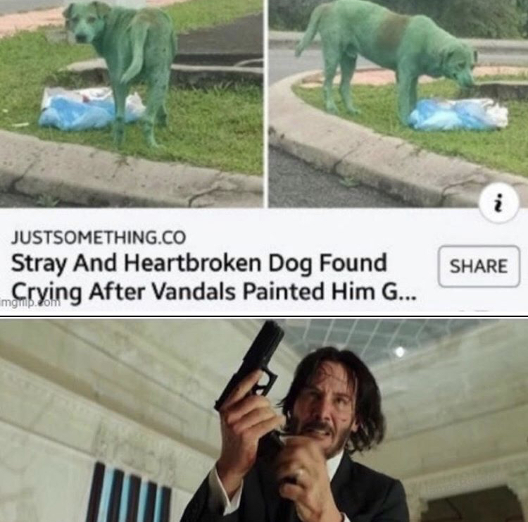 john wick reload meme - i Justsomething.Co Stray And Heartbroken Dog Found Crying After Vandals Painted Him G...