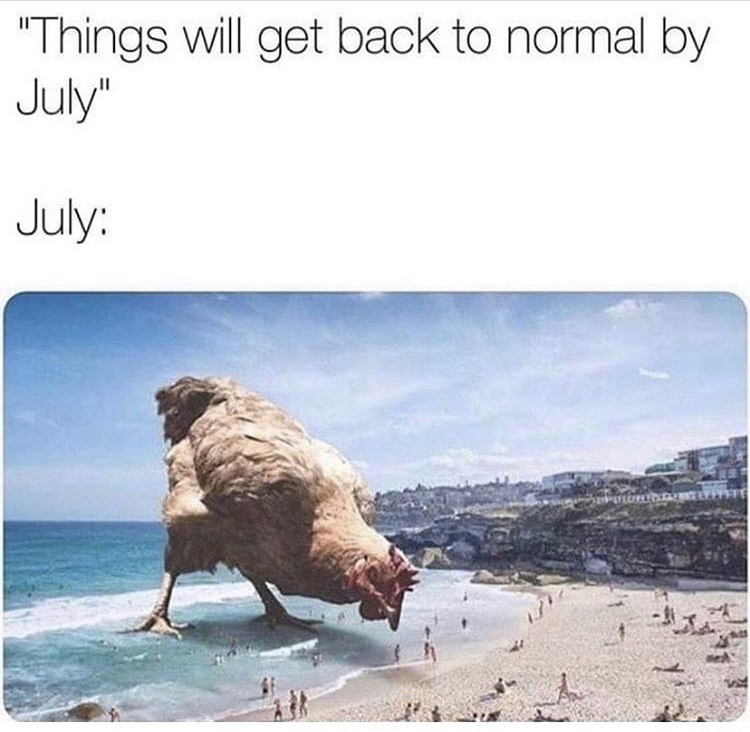 2020 can t get any worse meme - "Things will get back to normal by July" July