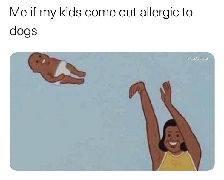 if my kid is allergic to dogs meme - Me if my kids come out allergic to dogs classicalfuck