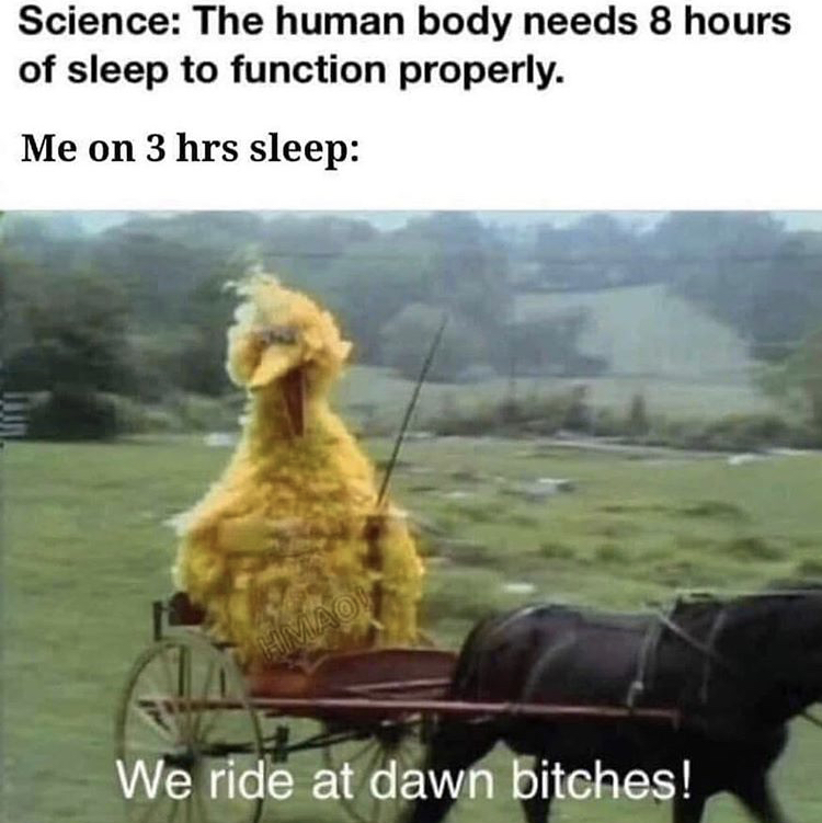 big bird memes - Science The human body needs 8 hours of sleep to function properly. Me on 3 hrs sleep Hmao We ride at dawn bitches!