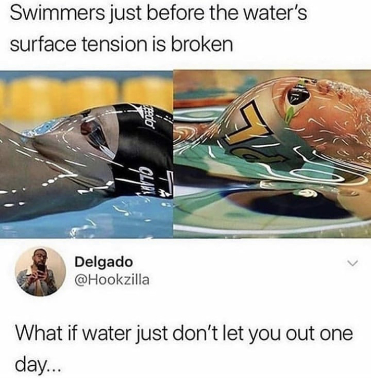 if water doesn t let you out - Swimmers just before the water's surface tension is broken redo Delgado What if water just don't let you out one day...